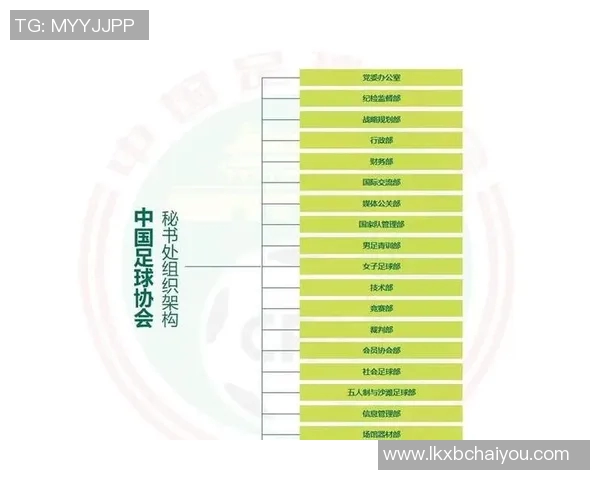 足球明星团队组织架构设计与管理策略探讨
