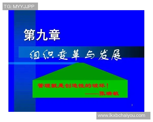 中国足球足协结构改革与发展路径探讨及其对国内足球的影响分析