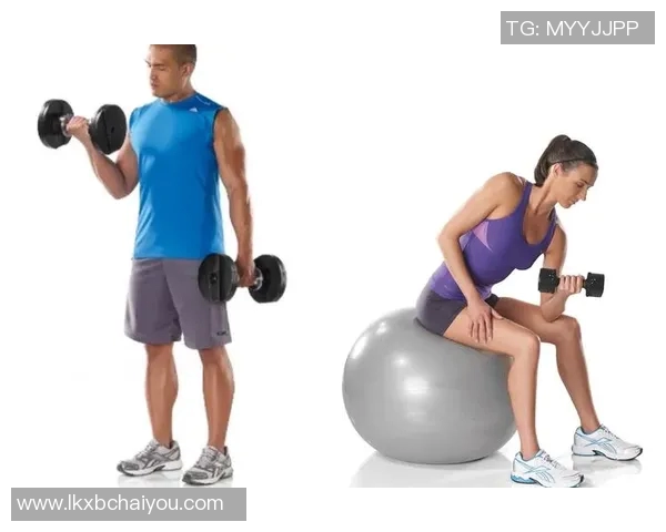 哑铃租赁价格解析与市场趋势分析助您选择最优方案