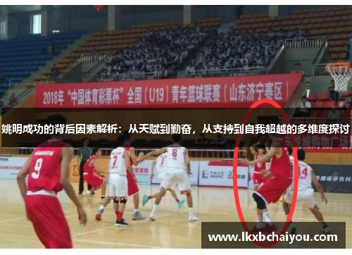 姚明成功的背后因素解析：从天赋到勤奋，从支持到自我超越的多维度探讨