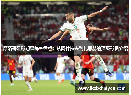 摩洛哥足球明星阵容盘点：从阿什拉夫到扎耶赫的顶级球员介绍