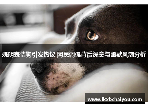 姚明表情狗引发热议 网民调侃背后深意与幽默风潮分析